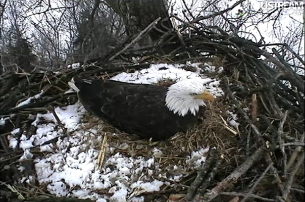 ScreenHunter_06 Feb. 21 08.46.jpg